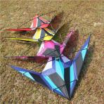 Beginner Stunt Kites