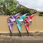 Advanced Stunt Kites