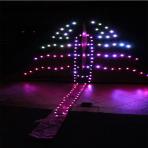 6.5m sq 792Bulbs Scorpion King LED Kite
