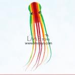 10m Rainbow Octopus Soft Kite [Walkinsky]