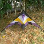 Albatross 2.4m Crystal Trick Kite [Purple]