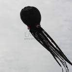 10m Black Alien Octopus Line Laundry Kite