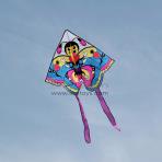 Cartoon Butterfly Delta Kite