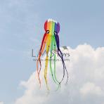 8m Rainbow Octopus Soft Kite [Walkinsky]