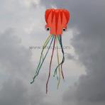 6m Orange Octopus With Rainbow Tail Soft Kite