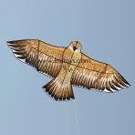 2.4m Gold Eagle Front Strut Kite [Brown]
