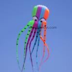 8m Rainbow Octopus Soft Kite