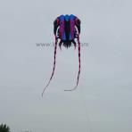 8.2m sq Evil Trilobite Soft Kite