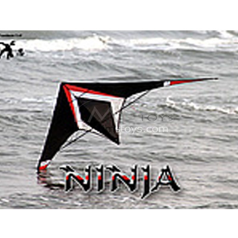 FREILEIN Ninja Trick Kite Complete set