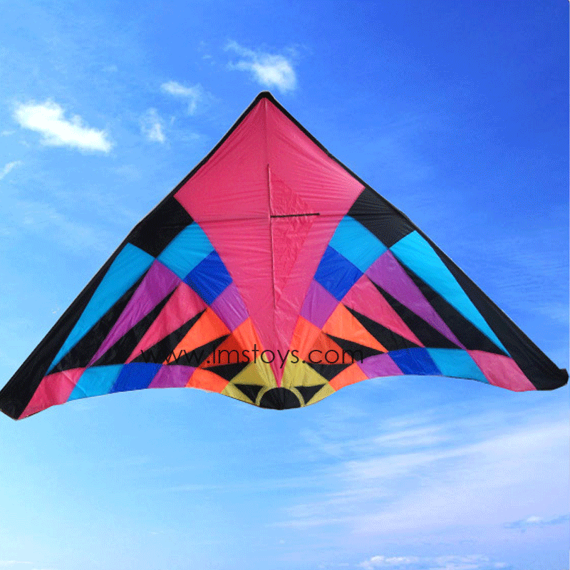 LMS TOYS Giant Kites 5m Giant Delta Kite PRODUCTS