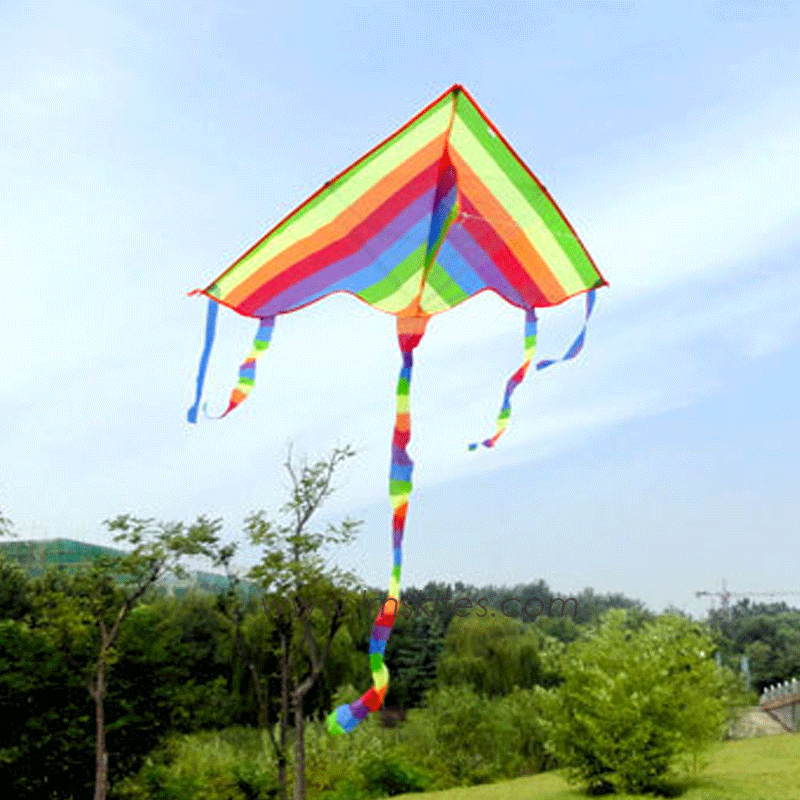 1.0m Rainbow Delta Kite