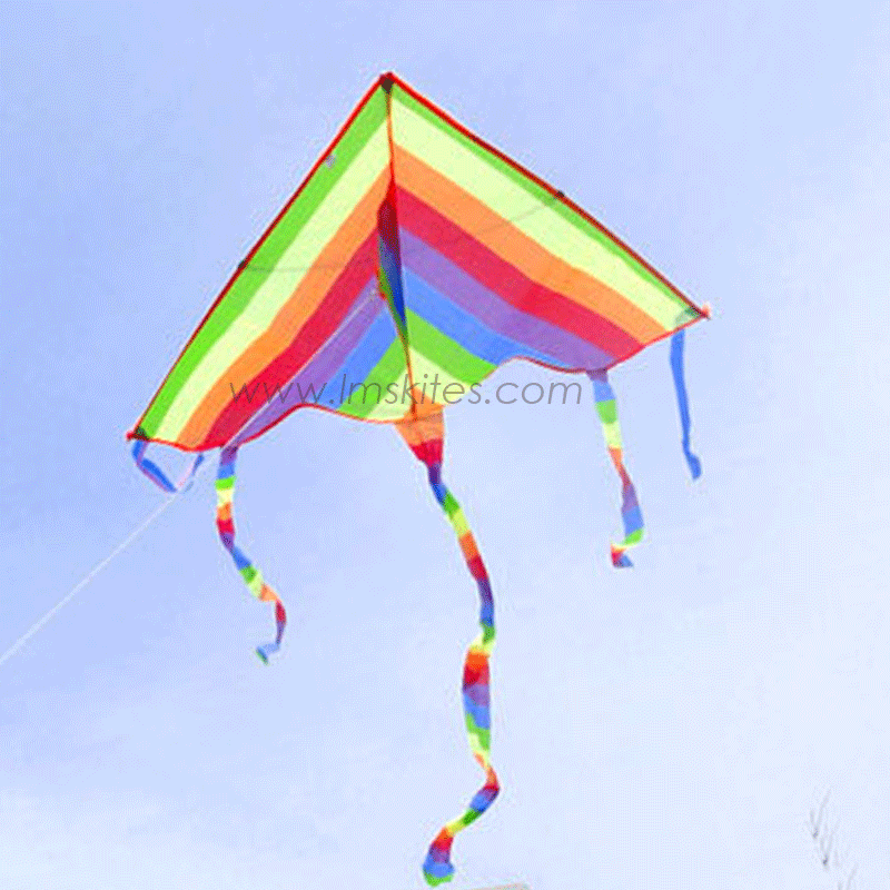 1.2m Rainbow Delta Kite