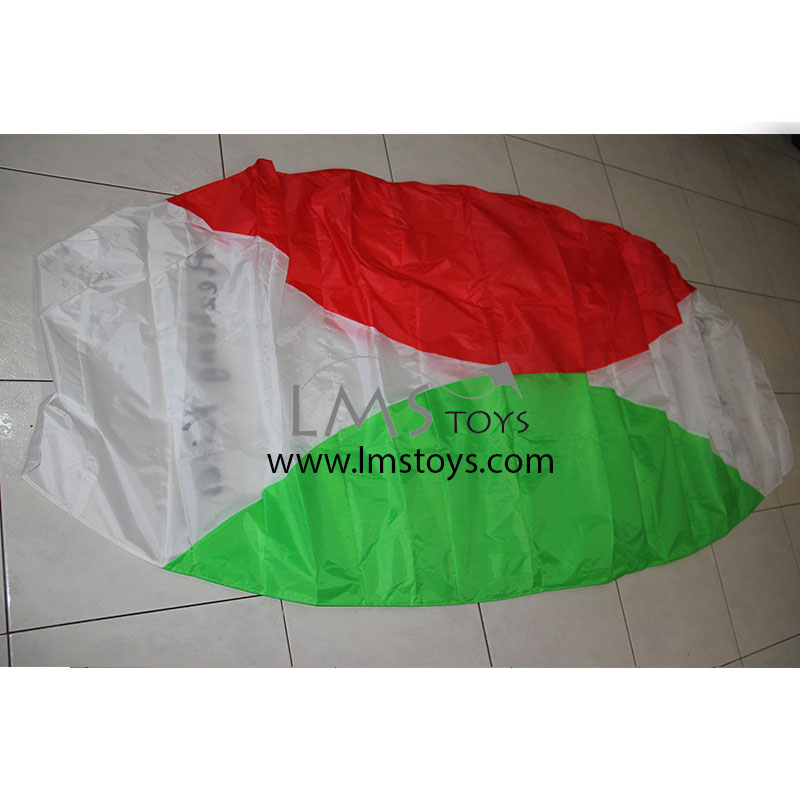 dual line power kites